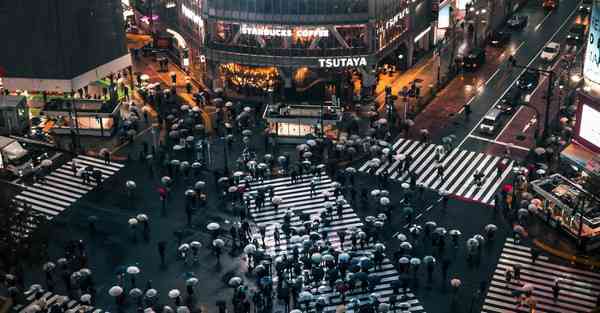 属猴2024年5月6日运势,属猴人2024年5月6日财运,生肖猴2024年5月6日运势